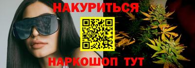 мет Кингисепп