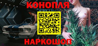 мет Кингисепп