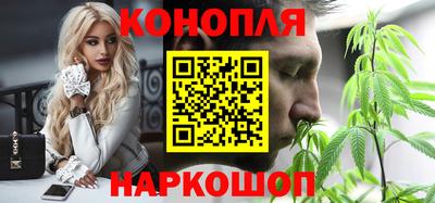 мет Кингисепп