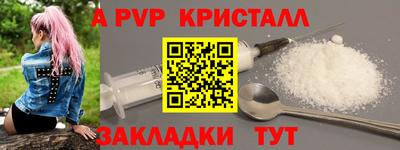 мет Кингисепп