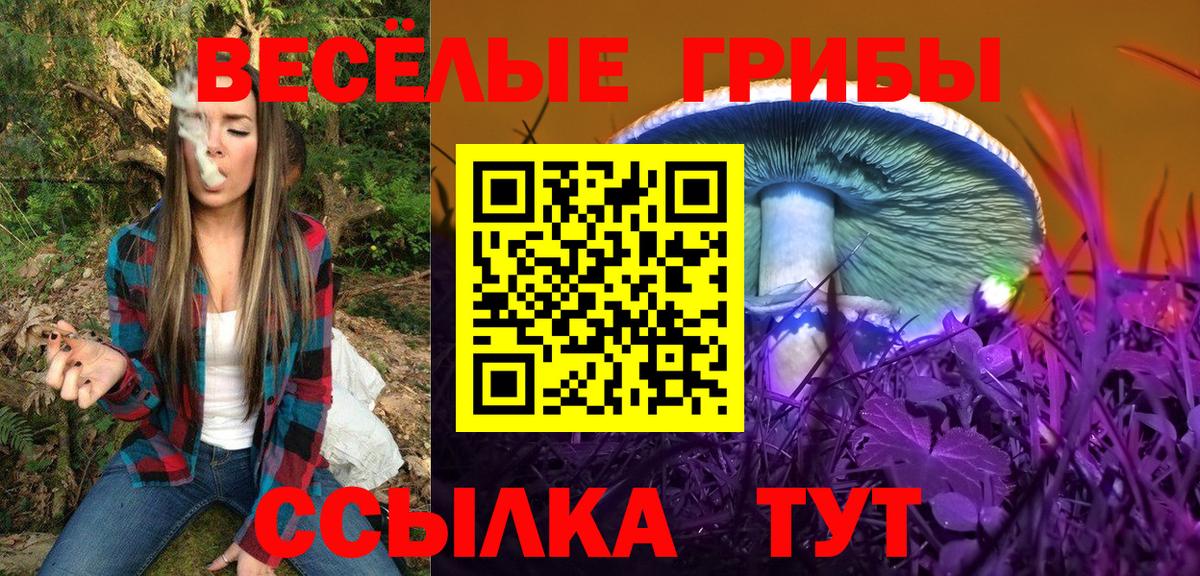 Псилоцибиновые грибы Psilocybine cubensis Костомукша